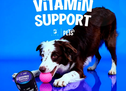 B LIFE PETS VITAMIN SUPPORT | 350g