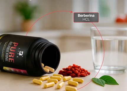 B LIFE Pure Berberine