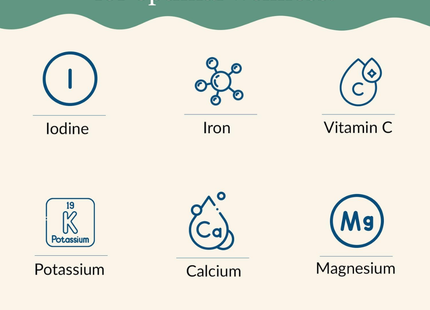 Maine Coast |Algas Marinas Orgánicas | Copos Dulse | 113 gramos