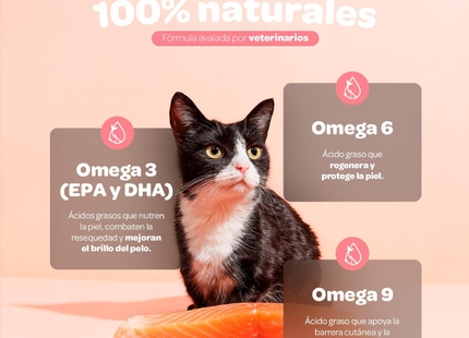 B LIFE PETS OMEGA BALANCE | 540 ml