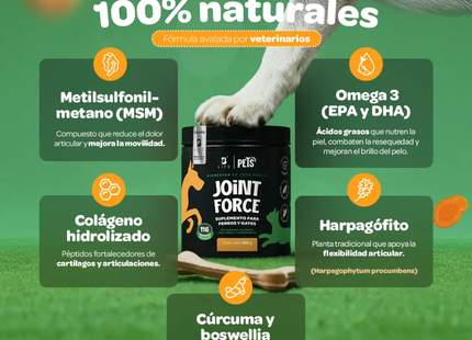 B LIFE JOINT FORCE | 350G