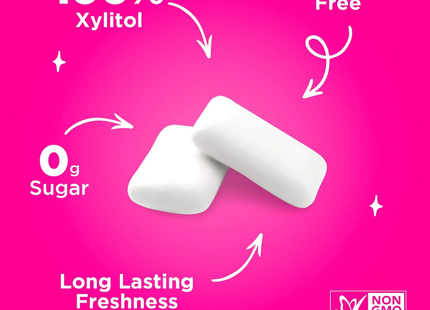 PUR GUM | Chicles Sin Azúcar, Sin Aspartame | 55 piezas
