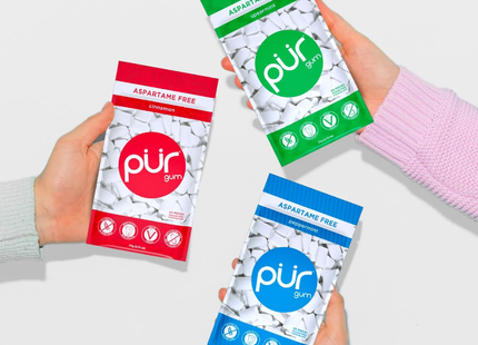 PUR GUM | Chicles Sin Azúcar, Sin Aspartame | 55 piezas