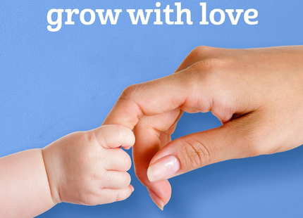 Gerber Organic Teethers | 48 gramos
